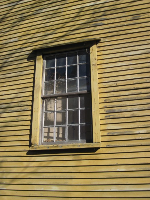 Newport Window