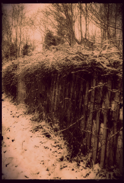 Winter Fence PL